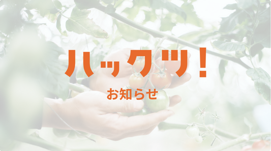 朝日新聞にハックツ!の記事が掲載されました📰