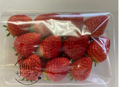 いちご(よつぼし) 250g (グローバルGAP認証品)