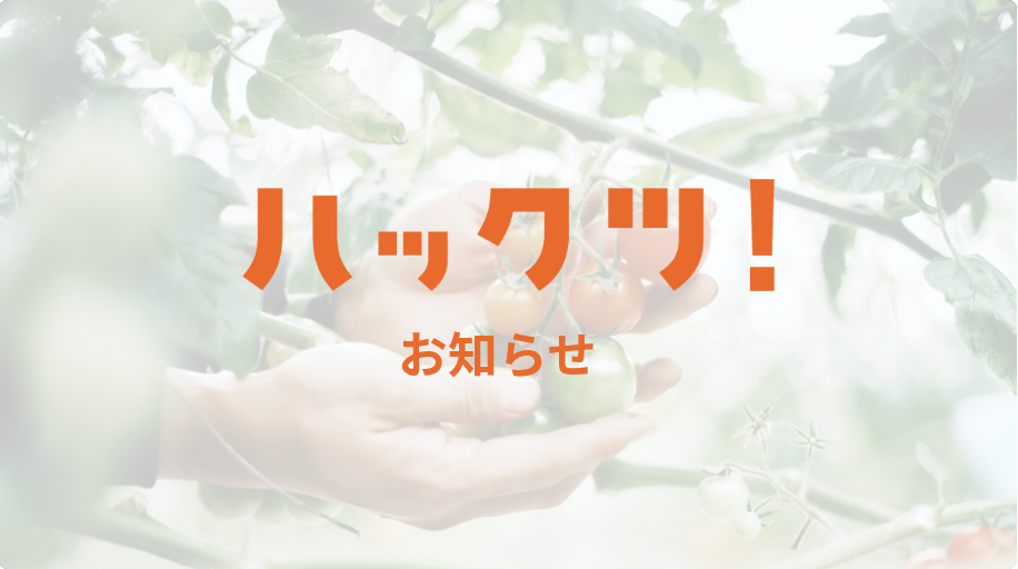 PayPay支払い方法追加＆希望配送日時の選択方法が変更になりました🗣