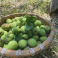 梅（青梅・小粒）1kg