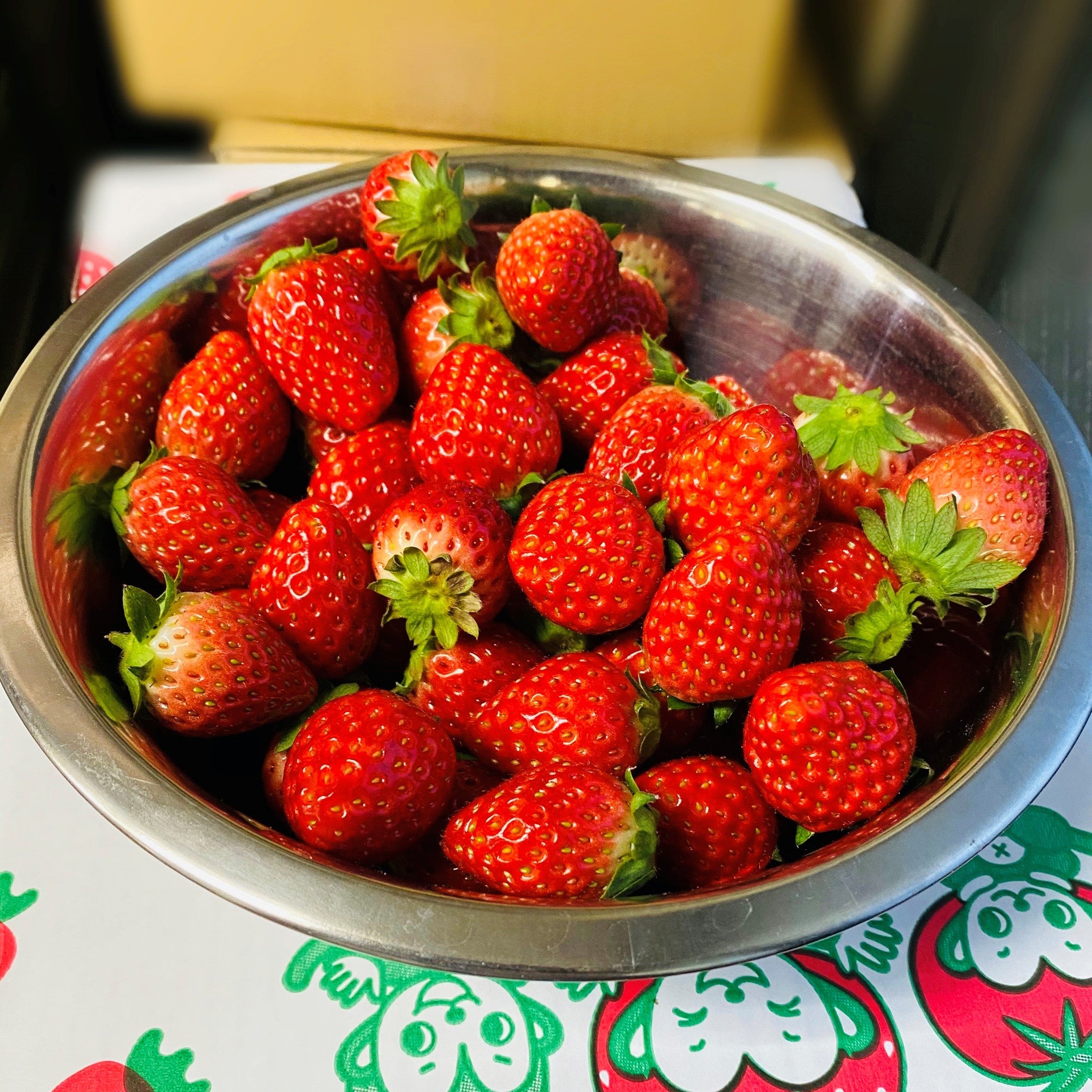 いちご大福 🗼🚄🍓あまおう苺大福が新幹線に乗って参ります！高輪