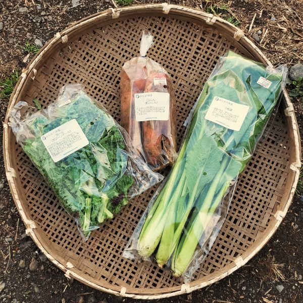 柿右衛門農園おまかせ野菜セット＊画像はイメージです。季節によって変動します。