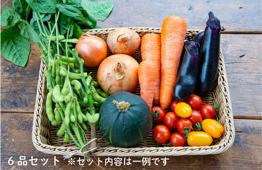 藤沢無農薬野菜おまかせ6品セット